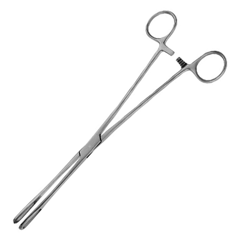 rampley sponge holding forceps with ratchet