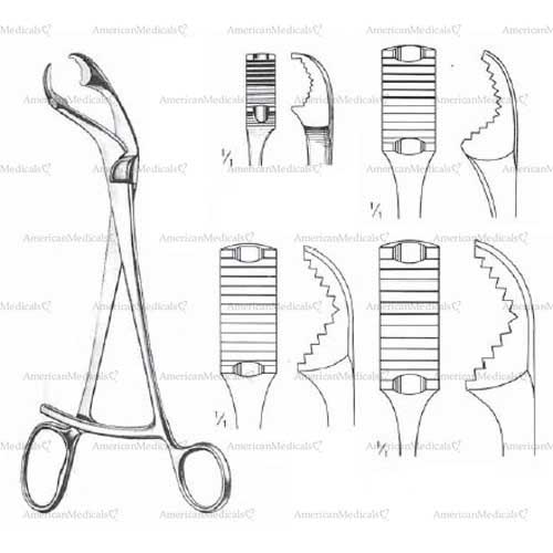 verbrugge self-centering bone holding forceps