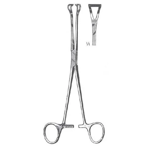 thumbnail image 2 of ODM Veterinary Babcock Tissue Forceps – 6" Intestinal Surgical Instrument – Made In Pakistan 2 of 6