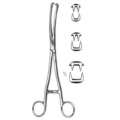 定 confusum Museux Vulsellum Curved Forceps with 2 x 2 Teeth
