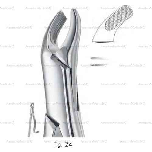 extracting forceps, american pattern - figure 24