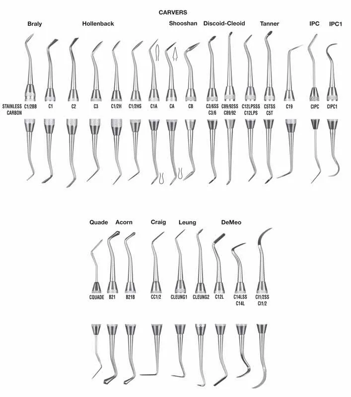 G. Hartzell & Son Carver - American Medicals